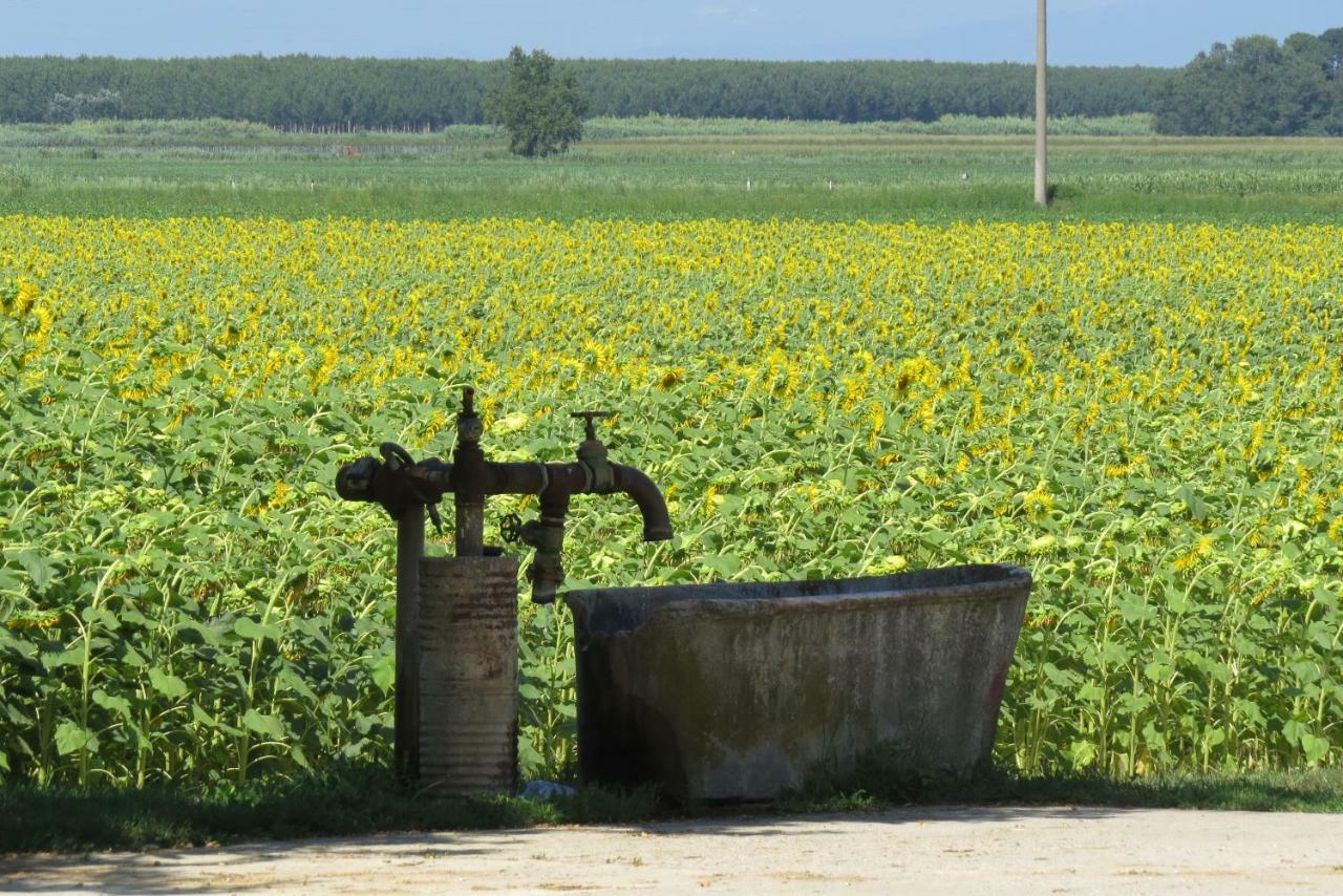 La Centuria Societa Agricola Casa Vacanze Terzo d' Aquiléia Kültér fotó
